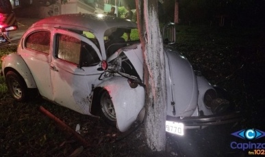 Pai e filho ficam feridos após veículo atingir árvore em Capinzal