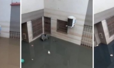 “Água preta” assusta moradores de área alagada pela enchente em São Leopold