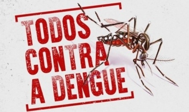 SC tem mais de 300 mil casos prováveis da doença e 224 mortes por dengue