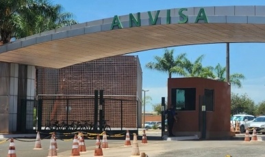 Anvisa determina recolhimento de canela em pó após identificação de impurezas