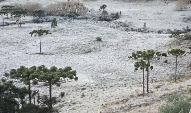 Previsão: Frio vai perder força em SC; cidades da região entre as mais frias deste domingo(10)