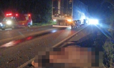 Cavalo morre após ser atingido por caminhão na SC-355 em Lebon Régis