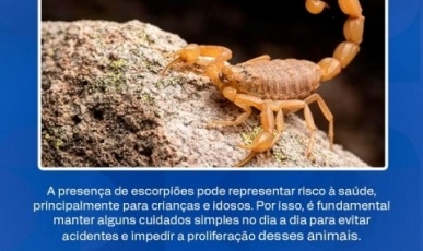 Secretaria de Saúde de Iomerê divulga orientações para prevenção de acidentes com escorpiões
