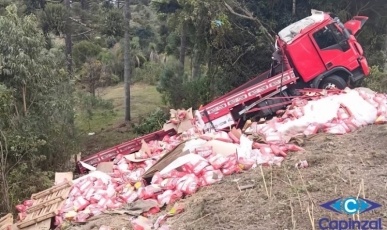Caminhão sai da pista e capota na BR-470