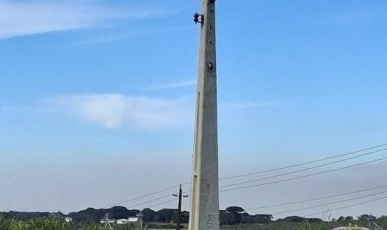 Homem é preso após furto de fios de energia em Campos Novos