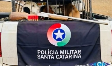 Homem é preso por posse irregular de arma após fugir de abordagem da Polícia Militar Ambiental na região
