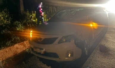 Cavalo morre após ser atingido por carro em Concórdia