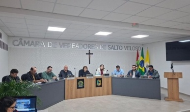 Projeto de arborização, ornamentação urbana e valorização paisagística é aprovado na Câmara de Salto Veloso