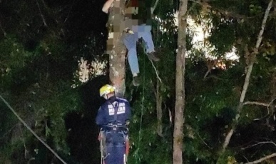 Trabalhador fica suspenso a 15 metros de altura após acidente durante corte de árvore em Herval d’Oeste