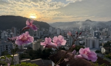 Junho começa com tempo firme e temperaturas típicas de outono em Santa Catarina