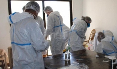 Equipe fica ferida durante resgate de gatos em apartamento de Concórdia