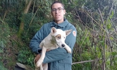 Bombeiros resgatam cão preso há quatro dias em penhasco de 30 metros em Videira