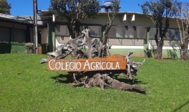 Colégio Agrícola de Água Doce esclarece afastamento temporário de alunos com sintomas gripais