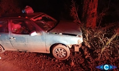 Motociclista fica ferido após colisão com cervo na BR-282 em Ponte Serrada
