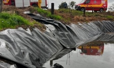Cão é resgatado de esterqueira pelos Bombeiros em Seara