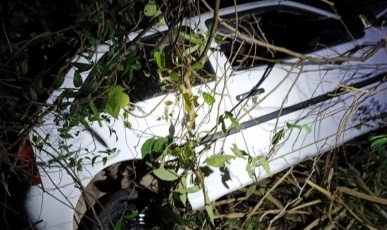 Motorista fica ferido após carro sair da pista e parar entre árvores em Piratuba
